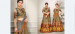 Multicolor Heritage Banarasi Silk Lehenga Choli