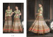 Multicolor Heritage Banarasi Silk Digital Printed Lehenga Choli