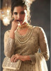 Chikoo Net With Can Can Salwar Suit