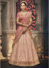 Light Pink & Magenta Handloom Silk Designer Lehenga Choli