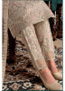 Beige & Cream Net Designer Salwar Suit