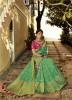 Parrot Green Pure Banarasi Silk Saree