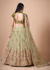 LIGHT OLIVE GREEN SOFT NET EMBROIDERED PARTY-WEAR STYLISH LEHENGA WITH CONTRAST BLOUSE
