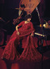 Red Net With Sequins, Cut Dana & Hand-Work Wedding-Wear Bridal Saree