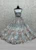 Light Steel Blue Net With Cotton Embroidery, Sequins & Thread-Work Wedding-Wear Stylish Lehenga Choli