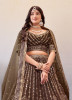 Nut Brown Net Embroidery & Gotta-Patti Work Party-Wear Lehenga Choli [With Can-Can]