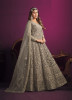 Gray Net Embroidered Party-Wear Floor-Length Salwar Kameez